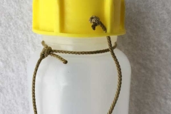 Hunersdorf bottle with cord leash