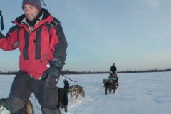 Light Energy in use in the Boreal forest.